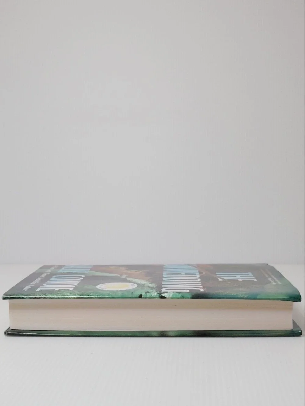 The Unwedding by Ally Condie - Teal & Green Hardcover Novel